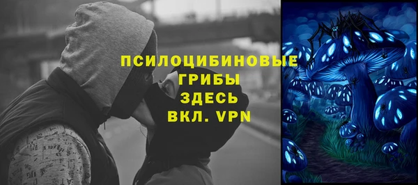твердый Абинск
