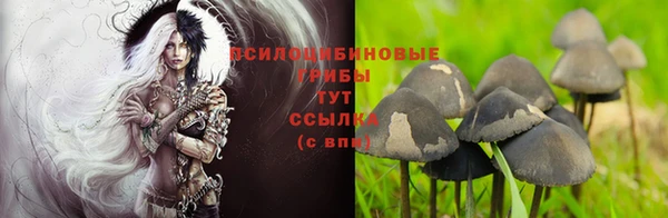 твердый Абинск