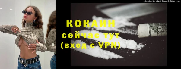 бошки Алексин