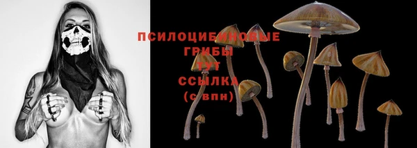 твердый Абинск