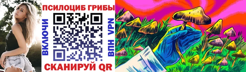 МЕГА как войти  дарнет шоп  Красный Сулин  Псилоцибиновые грибы прущие грибы 
